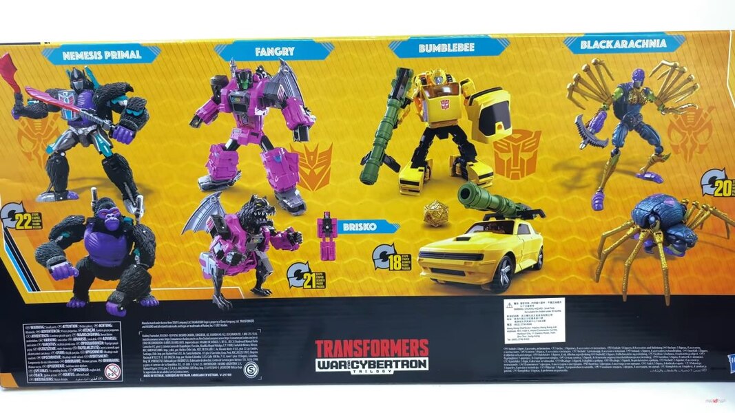 Transformers Worlds Collide 4 Pack In Hand Images  (5 of 42)